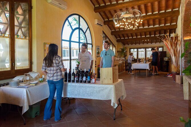 Tour of the cellar and tasting of 6 wines - Exploring the Cantalici Winery: An Authentic Chianti Experience