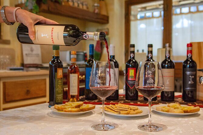 Tour of the cellar and tasting of 6 wines - Key Points