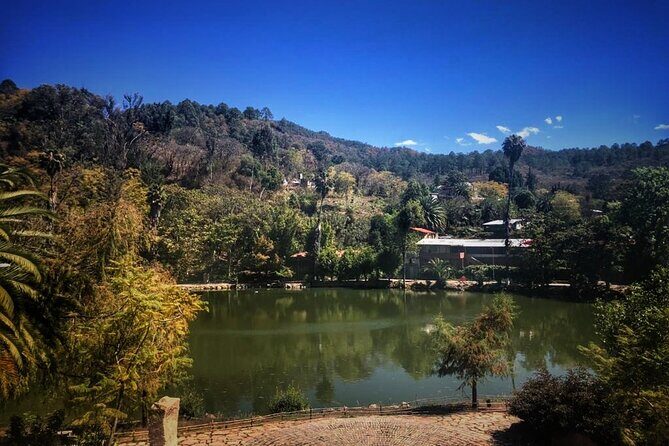 Tour of the Sierra Juárez, Ixtlán, Guelatao and Capulálpam - What’s Not Included and Optional Extras