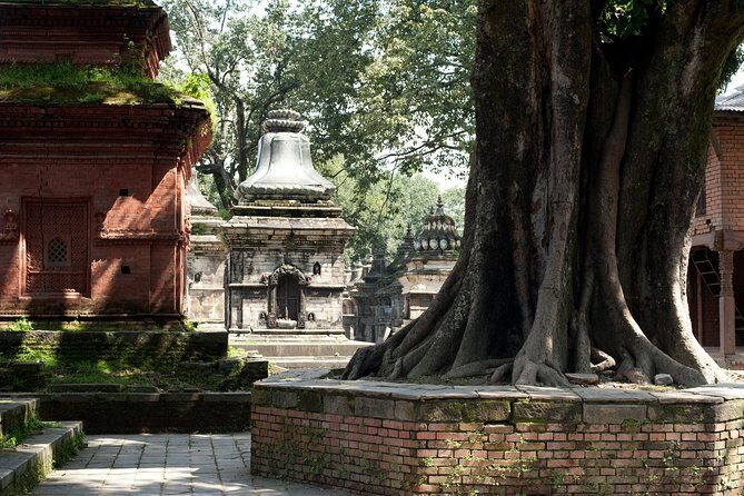 Tour of the Villages of Varanasi (Guided Sightseeing Tour by Car) - The Sum Up