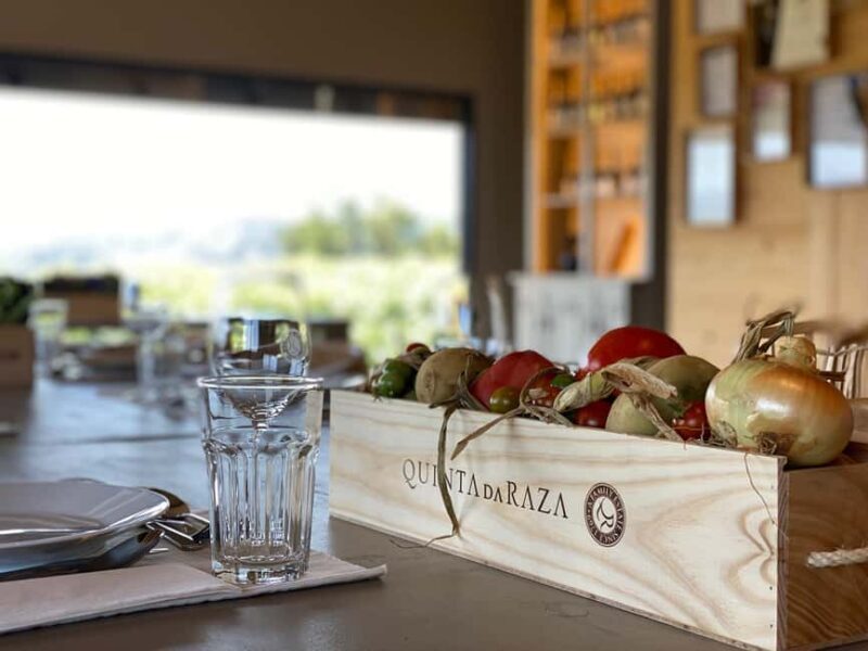 Tour of the vineyards, organic vegetable garden and animal farm. - Vineyards and Wine Tasting: A Deep Dive into Portuguese Vinho Verde