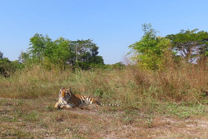 Tour of the Wildlife Rescue Center - Key Points