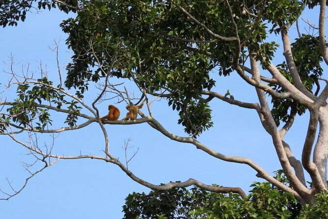 Tour of the Wildlife Rescue Center - An In-Depth Look at the Wildlife Rescue Center Tour