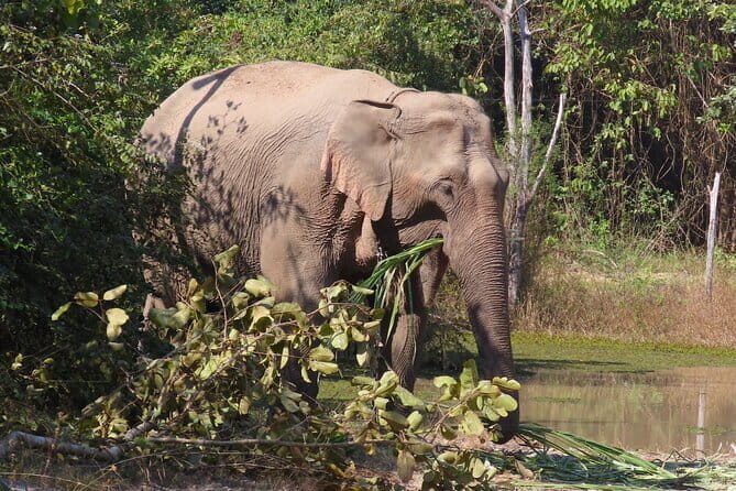 Tour of the Wildlife Rescue Center - Practical Details and Value