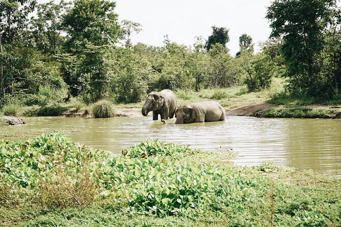 Tour of the Wildlife Rescue Center - Final Thoughts