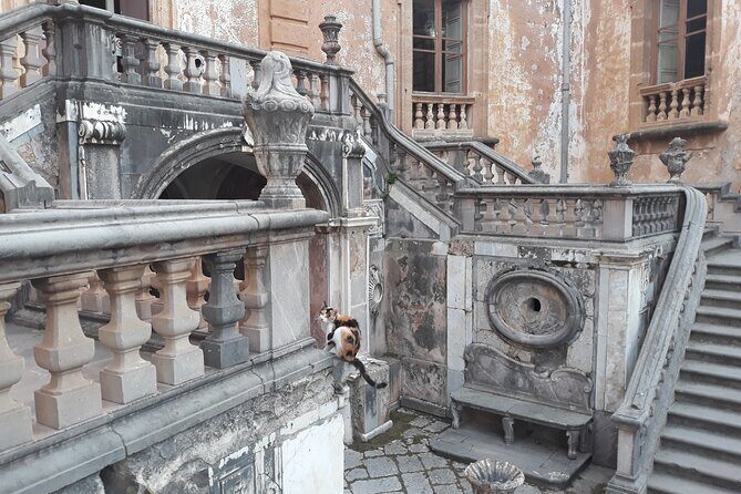 Tour of Villa Palagonia and Street Food itinerary in Bagheria - Analyzing the Value
