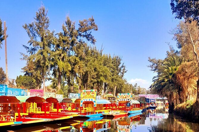 Tour of Xochimilco and The World of Frida Kahlo - An In-Depth Look at the Tour Experience