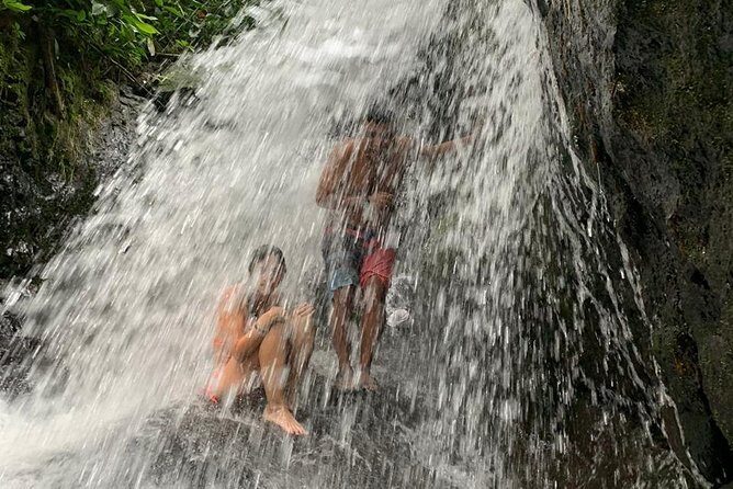 TOUR PACKAGE (jungle trekking, taxi, Room) 4 DAYS 3 NIGHTS in BUKIT LAWANG - Who Should Consider This Tour?