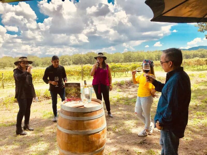 Tour "Parras de la Fuente" + Guía + Traslados + Tickets - Why This Tour Is a Great Choice