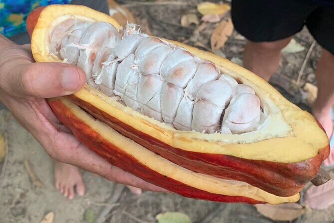 Tour 'Paso del Mango' chocolate & waterfalls - FAQ