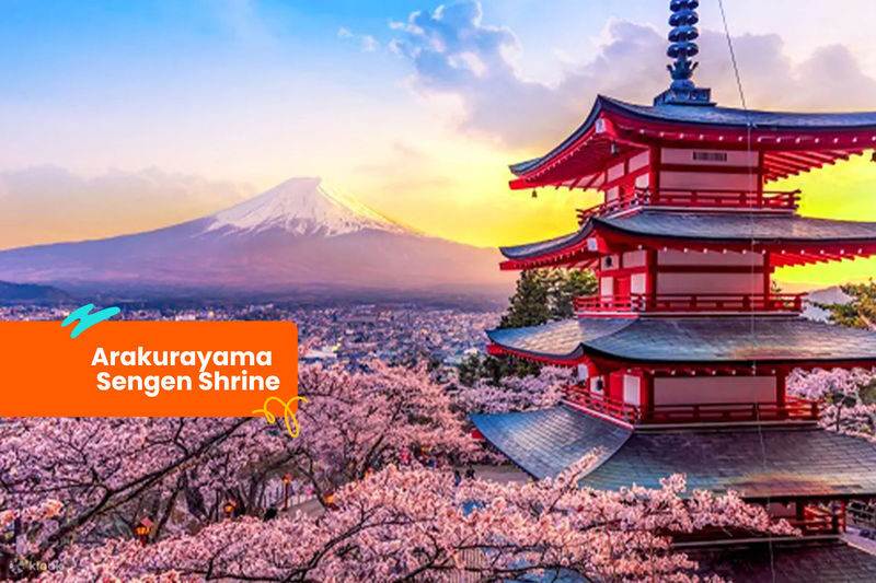 Tour Pass for Mount Fuji, Kamakura, Kyoto, Nara and Shirakawago - Booking details worth checking before you go