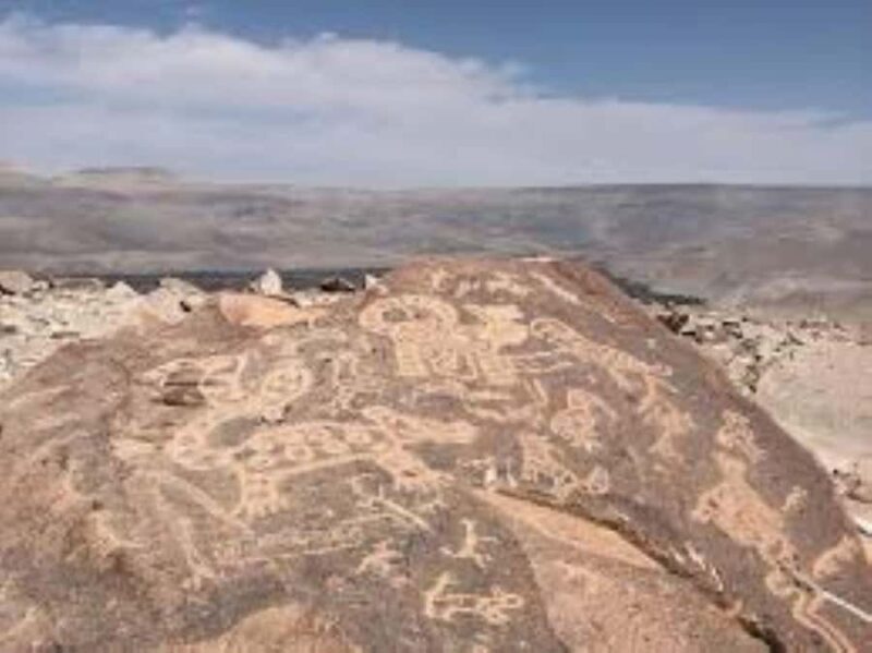 Tour Petroglyphs of Dead Bull and Querullpa - Itinerary Breakdown and What to Expect