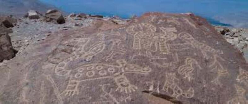 Tour Petroglyphs of Dead Bull and Querullpa - Lunch and Cultural Touches