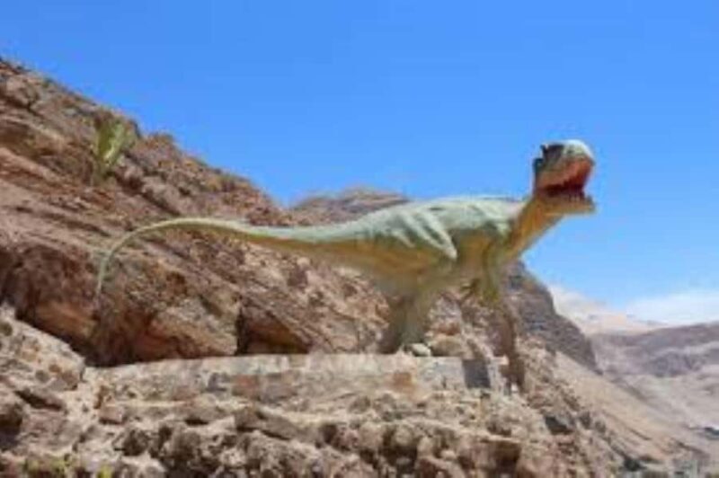 Tour Petroglyphs of Dead Bull and Querullpa - Who Should Consider This Tour?