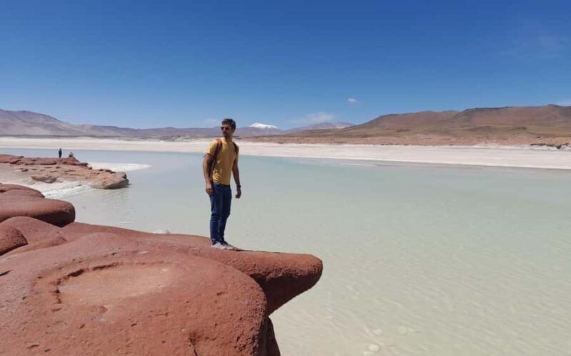 Tour Piedras Rojas + Altiplanic Lagoons + Chaxa Lagoon - Key Points