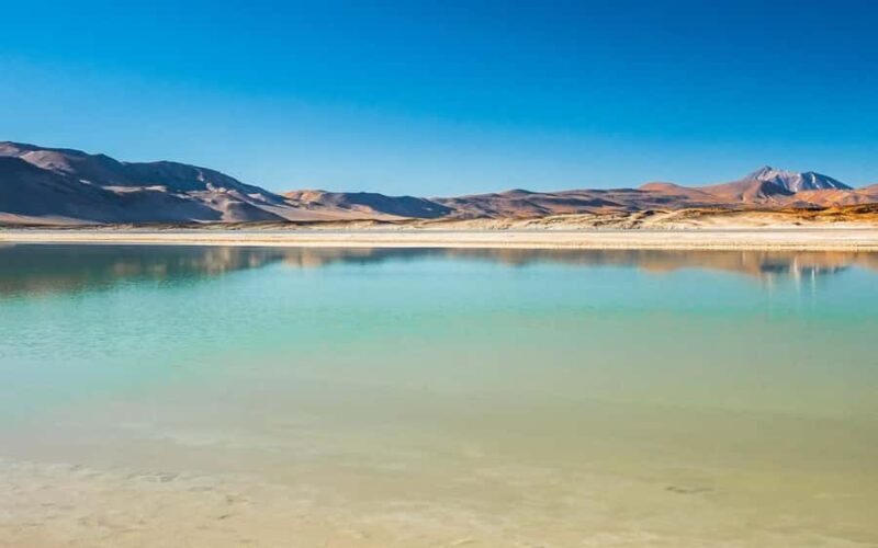 Tour Piedras Rojas + Altiplanic Lagoons + Chaxa Lagoon - A Detailed Look at the Tour Experience