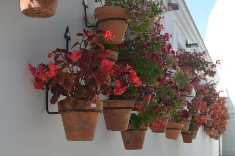 Tour por Estepona Centro - Tour por Estepona Centro