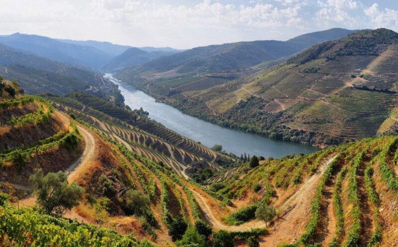 Tour Porto Douro Valley | The richness of Wine | ALL INCLUD. - Exploring the Douro Valley: A Complete, Authentic Day Trip from Porto