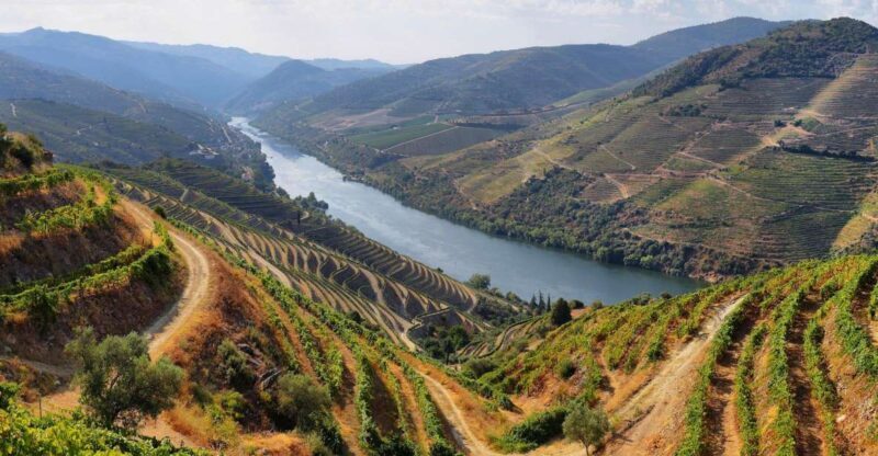 Tour Porto Douro Valley | The richness of Wine | ALL INCLUD. - The Value of This Tour