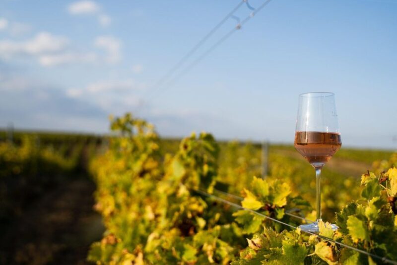 Tour Porto Douro Valley | The richness of Wine | ALL INCLUD. - Frequently Asked Questions