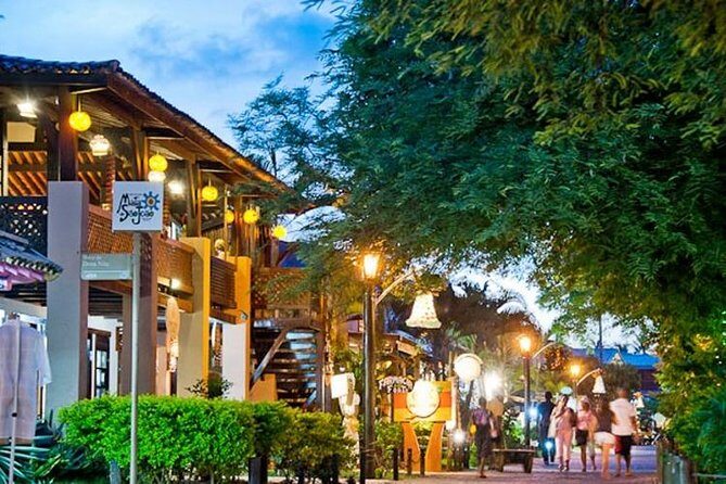 Tour Praia do Forte and Guarajuba, Leaving Salvador-Bahia. - In-Depth Look at the Tour Experience