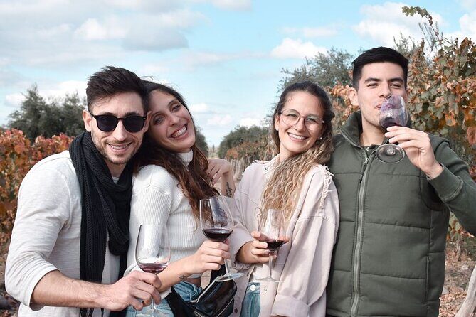 Tour Privado: Bodegas por el día en Mendoza - The Itinerary in Detail