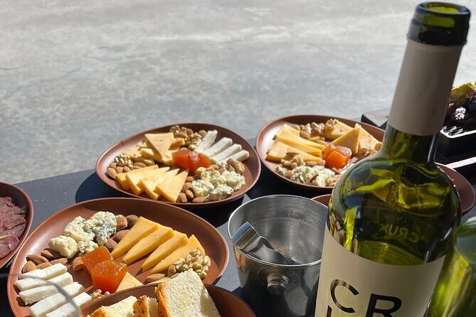 Tour Privado: Bodegas por el día en Mendoza - Who Should Consider This Tour?