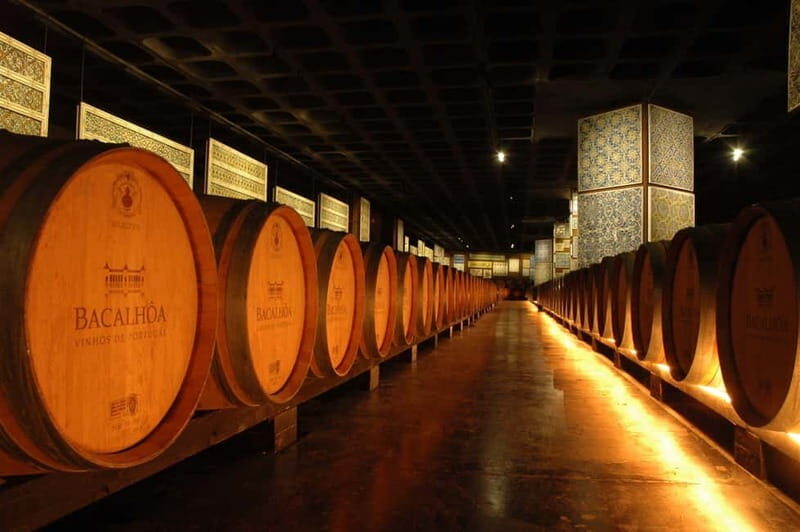 Tour Private Wine Tasting - Exploring the Details of the Private Wine Tasting Tour