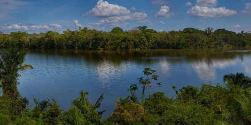 Tour Puerto Maldonado - Experience the Amazon in Style: Puerto Maldonado 3-Day Tour