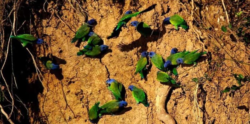 Tour Puerto Maldonado - Key Points