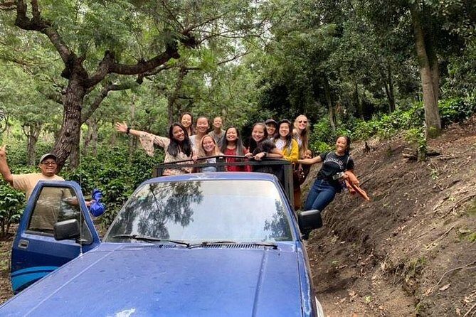 Tour Rural de Café/ Coffee Tour - An Enriching Itinerary