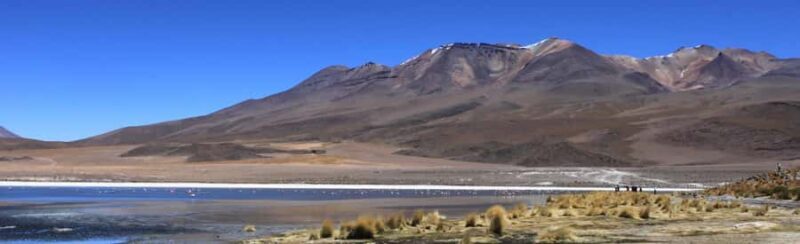 Tour Salar de Uyuni 3D/2N /Laguna Colorada/Geiser/Flamingos - A Deep Dive into Bolivia’s Salt Flat Adventure