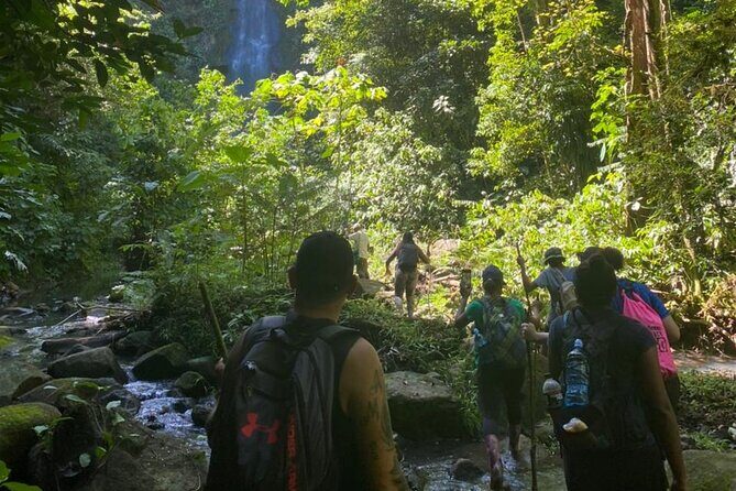 Tour Shaman medicinal plants and waterfalls - A Deep Dive Into the Experience
