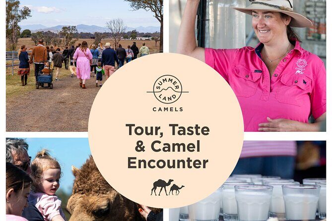 Tour, Taste & Camel Encounter - Tour, Taste & Camel Encounter: An Authentic Aussie Farm Experience