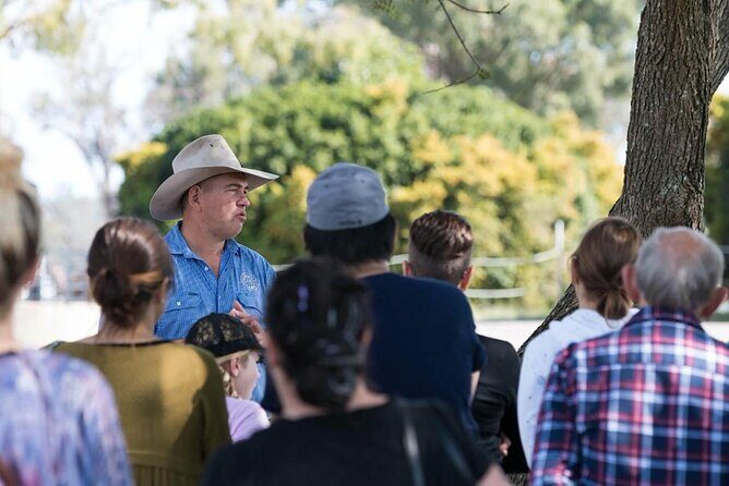 Tour, Taste & Camel Encounter - Key Points