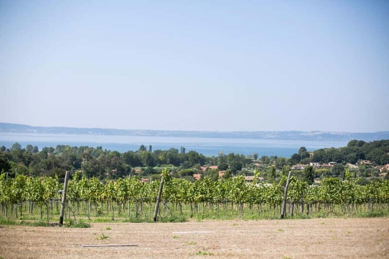Tour & Tasting at Cantine Capitani - A Closer Look at the Tour & Tasting at Cantine Capitani