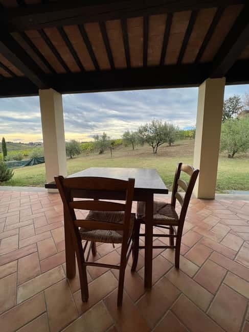 Tour & tasting at Tenuta la Viola - Key Points