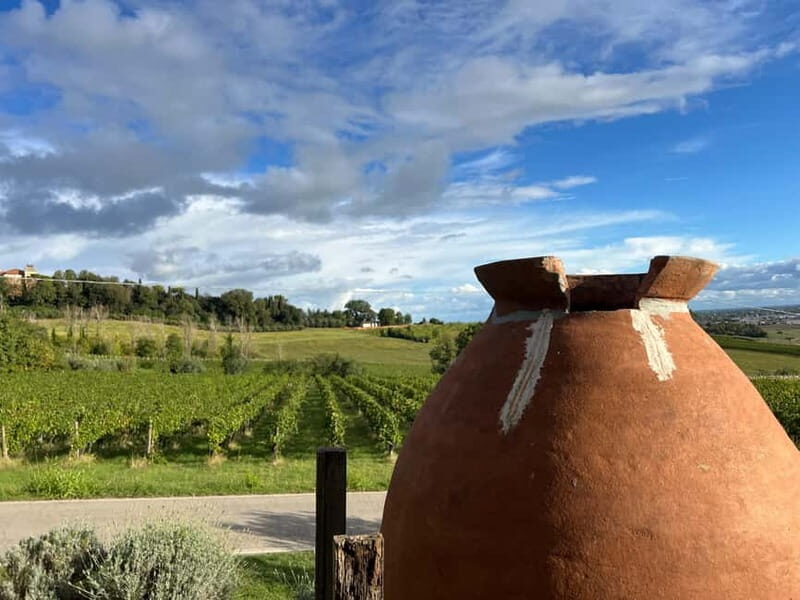 Tour & tasting at Tenuta la Viola - A Detailed Look at the Tour & Tasting at Tenuta la Viola