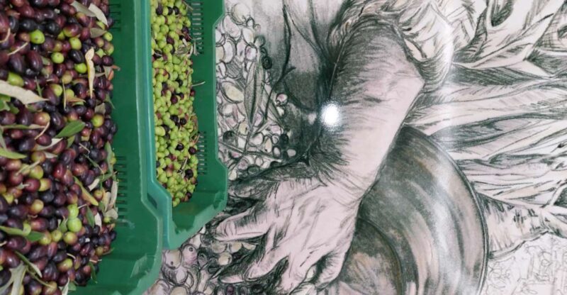 Tour & Tasting of Olive Oil and Tuscan Products - Sarteano - Who Should Consider This Tour?