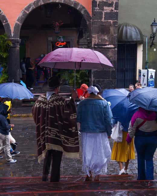 Tour Tequila Loreta Travel&Tour - A Complete Look at the Tour Experience