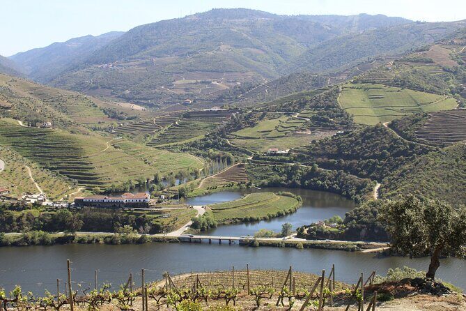 Tour the Douro wine region, and discover the fantastic landscape - A Closer Look at the Douro Private Tour