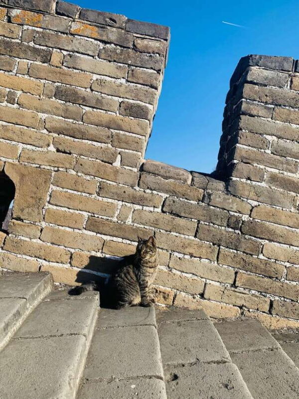 Tour the Great Wall with a Native from Downtown Beijing - The Itinerary in Detail