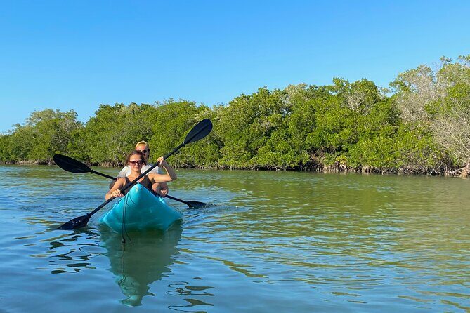 Tour the Mangroves in Kayak by Isla Holbox - The Value of This Experience