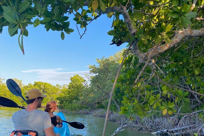 Tour the Mangroves in Kayak by Isla Holbox - FAQ