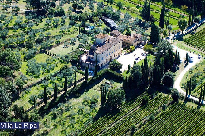 Tour through the vineyards and wine and olive oil tasting in Tuscany - A Taste of Tuscany: Vineyards, Wines, and Olive Oil at Villa La Ripa