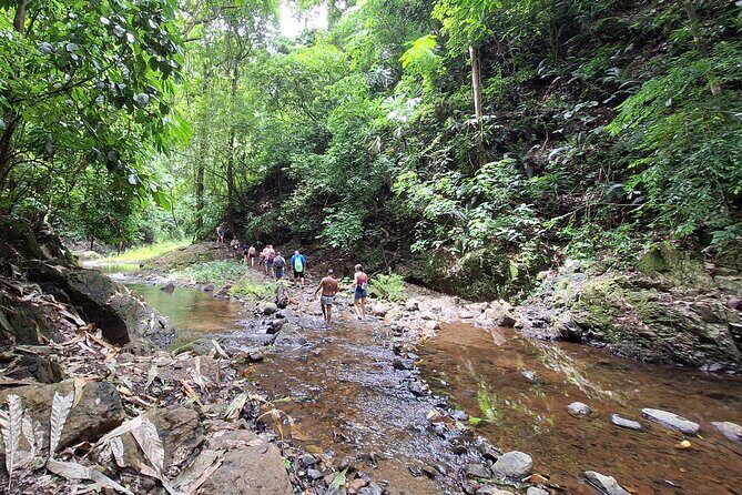Tour to a waterfall and Embera village with lunch included - Exploring Panama’s Natural and Cultural Treasures