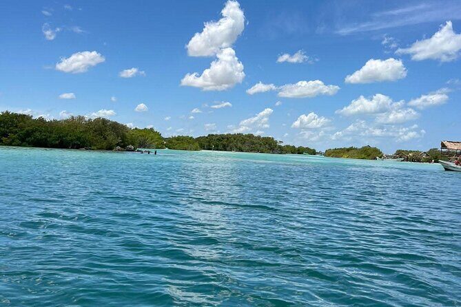 Tour to Agua Azul Island Departure from Merida to Yucatan - Who Should Consider This Tour?