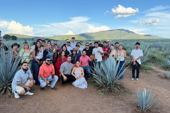 Tour to artisan tequileras (private tour) - The Itinerary in Detail: What to Expect