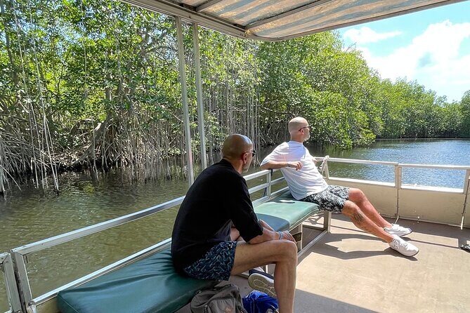 Tour to Black River and YS Falls - Key Points