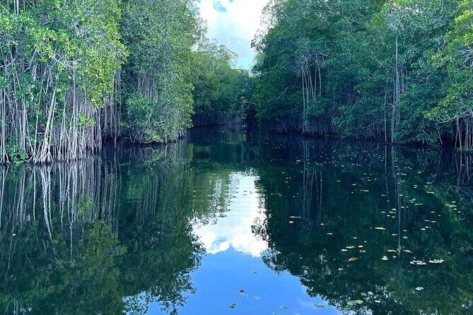 Tour to Black River and YS Falls - Final Thoughts: Is This Tour Right for You?